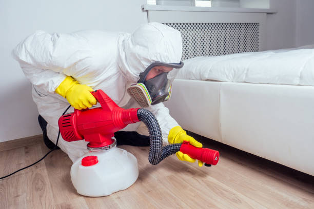Best Affordable Pest Control Services  in St Paul, MN