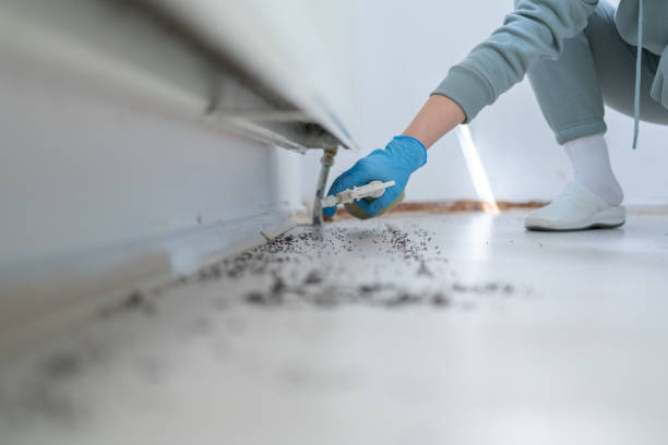 Best Wildlife Control Services  in St Paul, MN