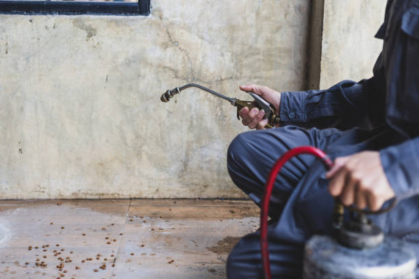 Best Emergency Pest Control  in St Paul, MN